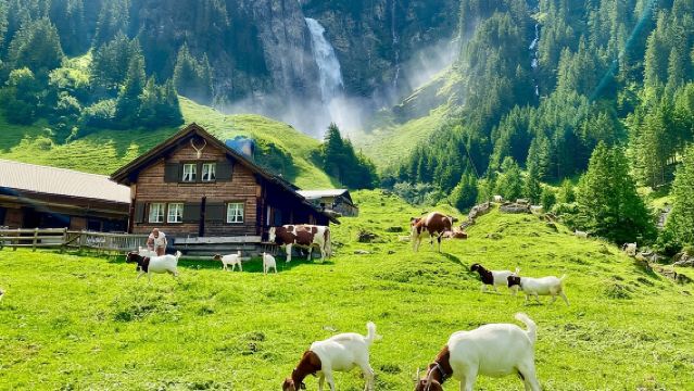 From Zurich: The most beautiful insider spots in Switzerland (private 1-day tour)