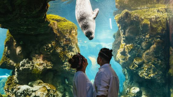 Genoa: Aquarium of Genoa Entry Ticket