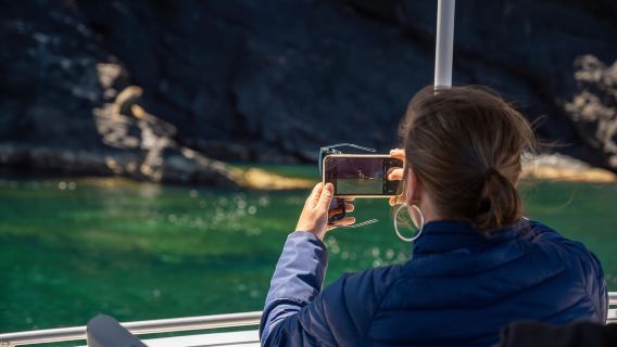 Wirrina Cove: tour panoramico in barca lungo la costa con colonia di foche