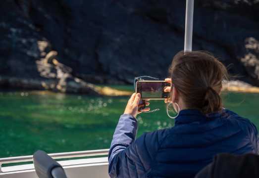Wirrina Cove: Coastal Sightseeing Boat Tour with Seal Colony AUD 66.55