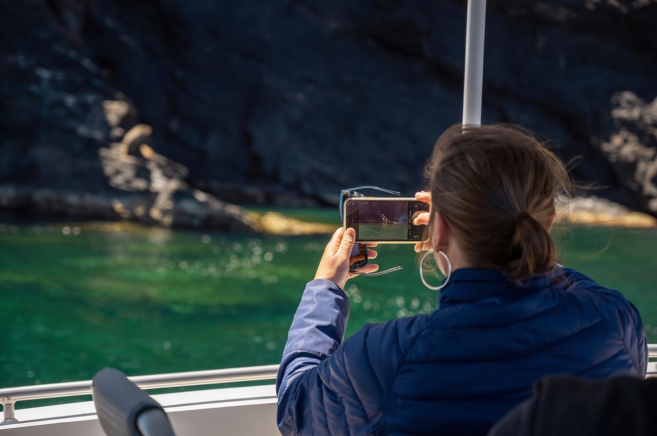 Wirrina Cove: Küsten-Sightseeing-Bootstour mit Robbenkolonie