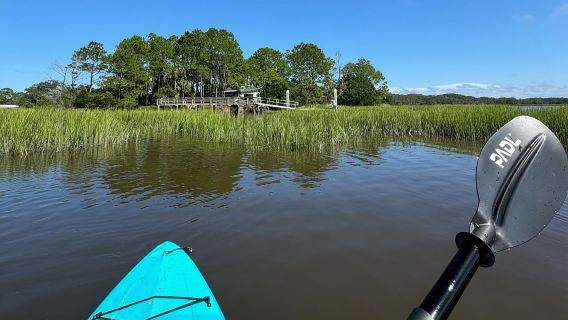 Isola di Amelia: tour in paddle nella palude salata - Isola PADL