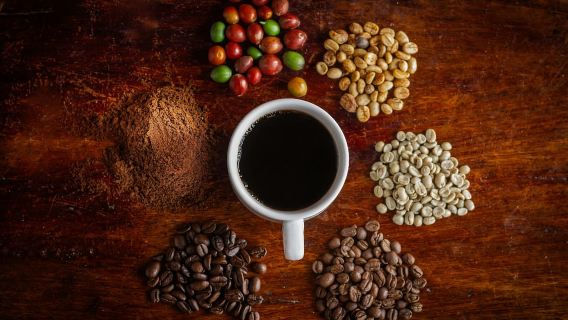 La Fortuna: Don Juan Arenal Coffee and Chocolate Tour