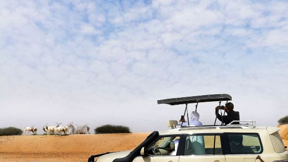 Expérience de covoiturage en camion ou SUV tout-terrain au zoo d'Al-Aïn aux Émirats arabes unis