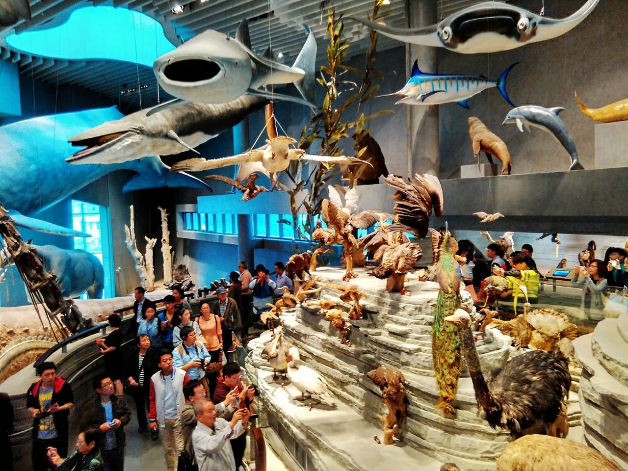 Shanghai Natural History Museum Half-Day Tour (Chinese-Speaking Group) (A Journey of Exploration Through Time and Space)