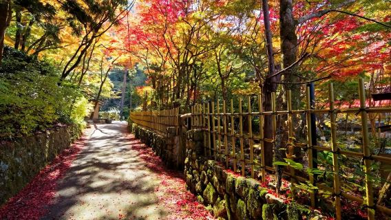 日本神戶｜跑腿翻譯｜地接｜地陪｜本地留學生自由行接機｜商務展會｜AY