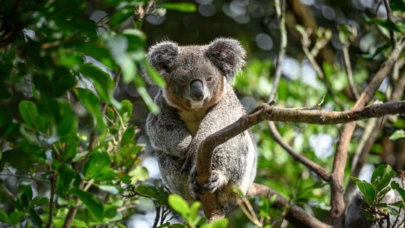 สวนสัตว์แฟทเทอร์เดล & การพูดคุยกับผู้ดูแล