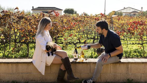 Excursión de medio día a una bodega con cata de vinos y tapas