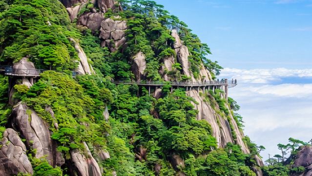 1-Day Tour in Shangrao, Jiangxi: Sanqing Mountain | Multilingual Guide (Including English) - Customize Private Charter | Adjustable Itinerary