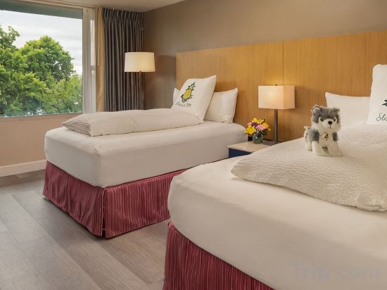 Staypineapple, Hotel Rose, Downtown Portland Room Type - Bridgetown, 2 Double Beds