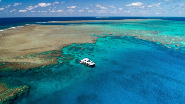 Crucero Calypso por la Gran Barrera de Coral desde Port Douglas