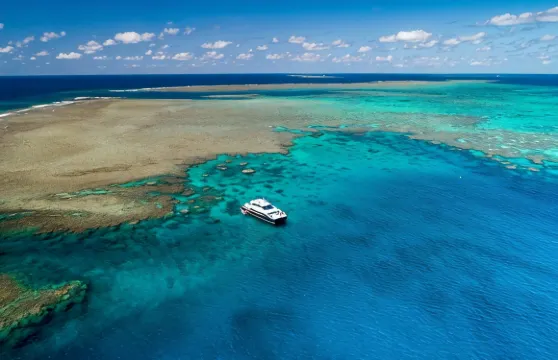 從道格拉斯港出發的卡利普索號外大堡礁遊輪