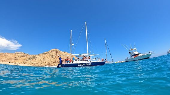 Cabo Blue Snorkeling Cruise, Open Bar and Lunch in Cabo San Lucas