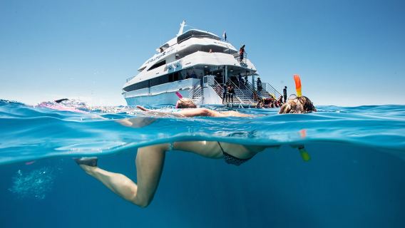CairnsTours