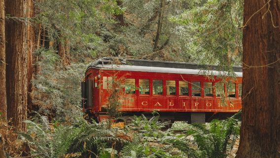 Skunk Train: Wolf Tree Turn