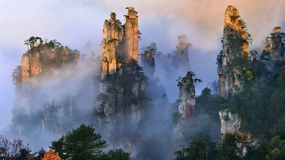 ZhangjiajieTours de un día