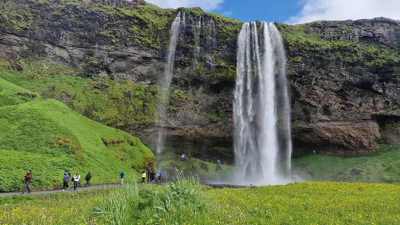 Tour di un giorno ai ghiacciai, alle cascate e alla spiaggia di sabbia nera dell'Islanda meridionale da Reykjavik