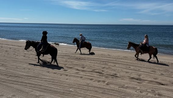 Kombination aus Reiten und Temazcal-Besuch mit Mittagessen und Mezcal-Tour