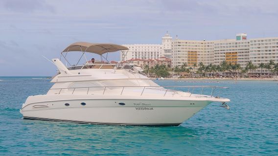 Cancun Yacht Tour - SEARAY YACHT 46 FT GREAT FOR SUNSET 15 PEOPLE MAX 25P9