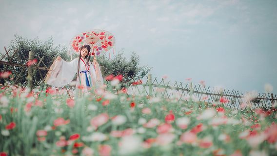 宝鶏旅行写真【ウェディングフォトマイクロムービー航空撮影/メイクと衣料品&アクセサリー/カスタマイズされた旅程/ウェディング写真撮影/チャーター車ガイド】