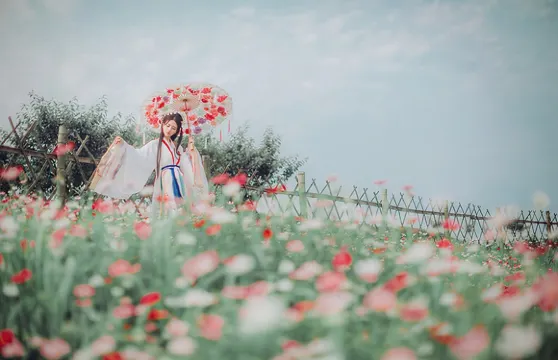 寶雞Trip Moments【婚禮跟拍航拍街拍抓拍約拍/婚紗寫真/商業攝影攝像/翻譯】