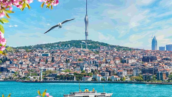 Torre Camlica di Istanbul: ingresso privato, trasferimento e scelta di ristoranti
