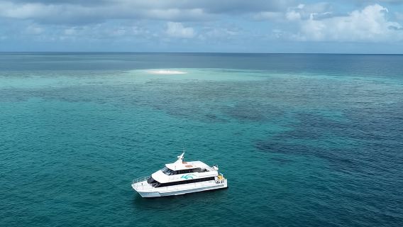 Mission Beach: Small Group | Outer Reef Snorkel & Dunk Island