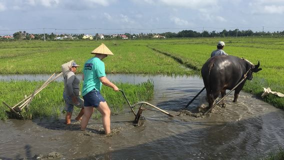 ทัวร์ชมชนบทฮอยอันและเมนูอาหาร สัญชาติเวียดนาม