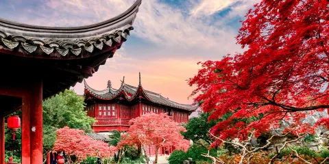 蘇州獅子林+寒山寺+山塘街一日遊【精選景點ღ 純玩無購物】