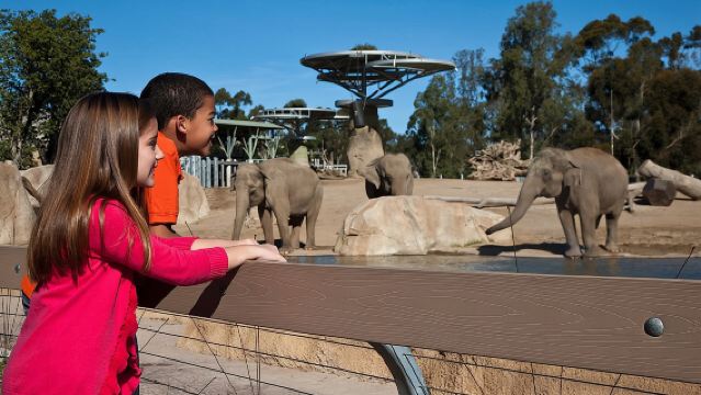 샌디에이고 동물원 및 사파리 공원 2회 방문권