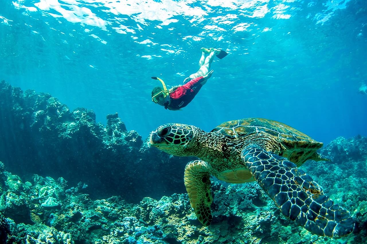 Afternoon West Maui Snorkel from Ka'anapali Beach