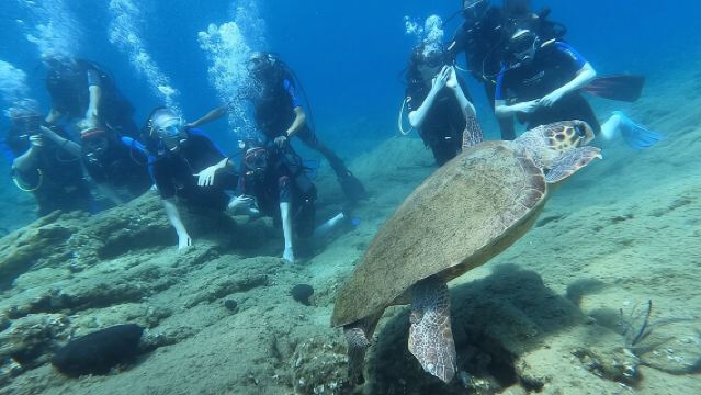 Heraklion: Scuba Diving Experience for Beginners