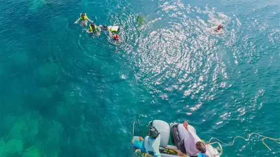 ทัวร์ดำน้ำตื้นเกาะฟูก๊วกเวียดนาม สปีดโบ๊ต ทริปครึ่งวัน 2 เกาะ (ชมพระอาทิตย์ตกดิน + อาหารค่ำแบบบาร์บีคิว)