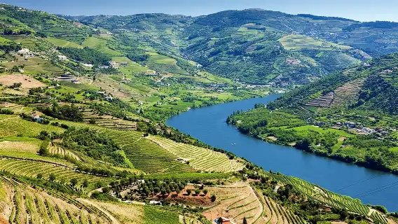 Complete Douro Valley Wine Tour with Lunch, Wine Tastings and River Cruise