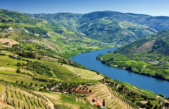 杜羅河谷葡萄酒之旅全包：午餐、品酒及郵輪河遊