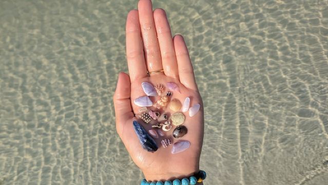 ทัวร์ล่องเรือ 3 ชั่วโมงไปยัง Shell Key Preserve จาก John's Pass