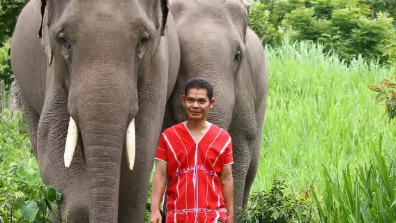 卡倫大象之家全日行程 – 與獲救大象同行、餵食及觀察