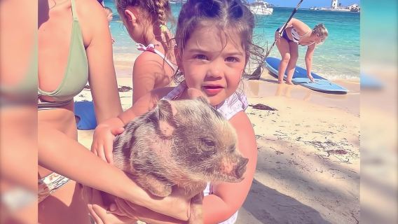 Из Нассау: сафари «Плавание со свиньями»