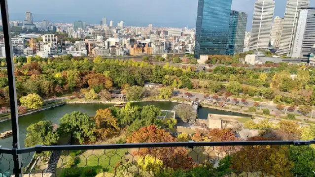 大阪：由本地專家帶領的健行導覽遊－熱門景點