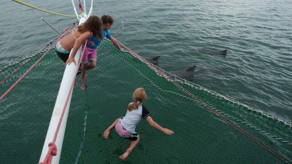 Nelson Bay: Dolphin Watch Cruise and Sail