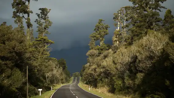 From Queenstown: Scenic One-Way Tour to Franz Josef