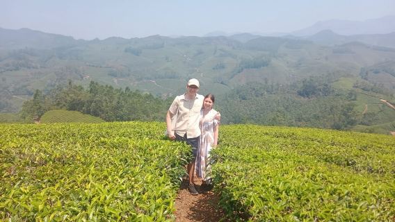 Munnar: Tea trail, Tea Factory, and Tea Tasting Tour