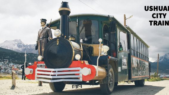 Ushuaia: Recorrido panorámico en tren por la ciudad