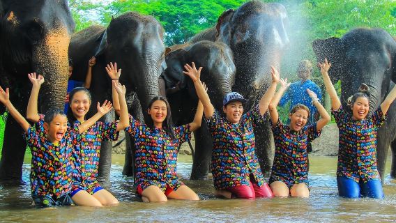 Chiang Mai Kanta Elephant Sanctuary 1-day tour [Interaction/Feeding/Family-Friendly]