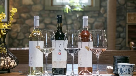 寧夏銀川西夏陵+賀蘭山岩畫+酒莊品質一日遊•輕鬆不累