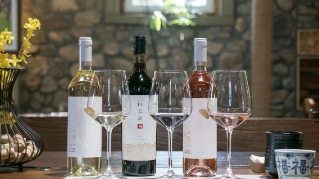 寧夏銀川西夏陵+賀蘭山巖畫+酒莊品質一日遊•輕鬆不累