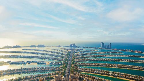 The View at the Palm Day Tours 4