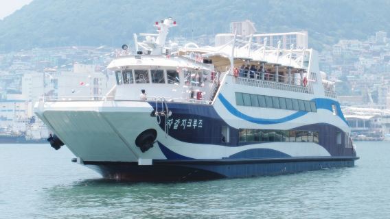 Jagalchi Sightseeing Cruise Experience in Busan