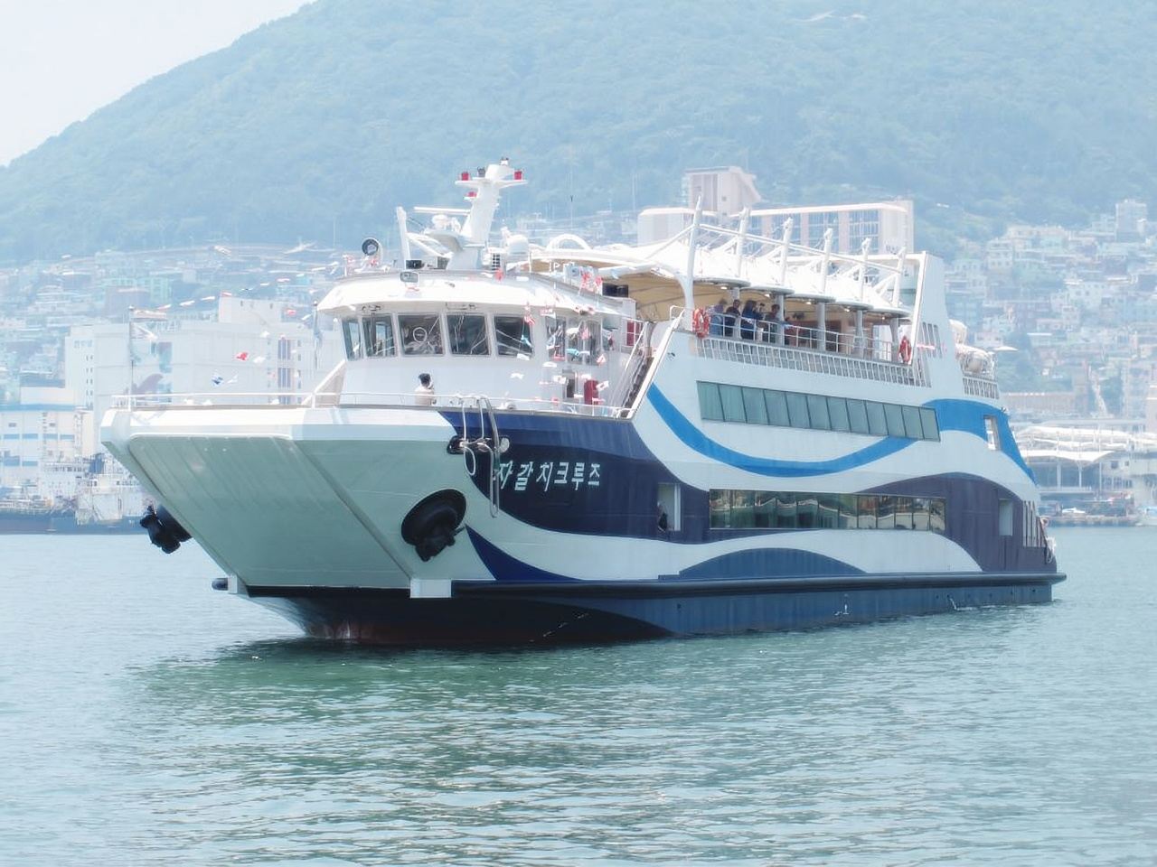 Jagalchi Sightseeing Cruise Experience in Busan