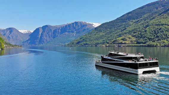 Tour riêng - Làng Viking, Du thuyền Nærøyjord và Đường sắt Flåm